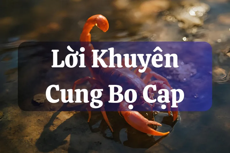 Người thuộc cung Bọ Cạp nên học cách cân bằng cảm xúc, mở lòng và chăm sóc bản thân nhiều hơn.