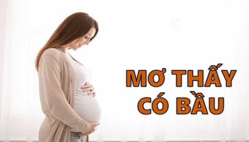 Một số cặp số như 09, 29, 26 hoặc 62 thường được nhắc đến khi giải mã giấc mơ có bầu.