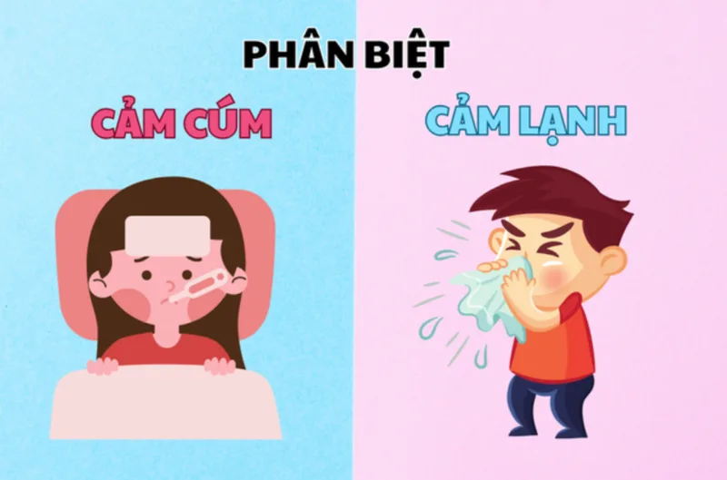 Phân biệt cảm lạnh và cảm cúm giúp cha mẹ theo dõi đúng triệu chứng và quyết định khi nào cần đưa trẻ đi khám.